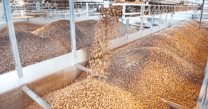 AKM_ kartoffelbunker_9984