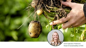 KMC LCA_Irene Kjærskov Pedersen