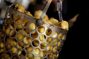 Produktion - Kartoffelprøve